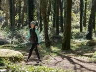 marche-nordique-sylvothérapie-arbre marche-nordique-sylvothérapie-arbre