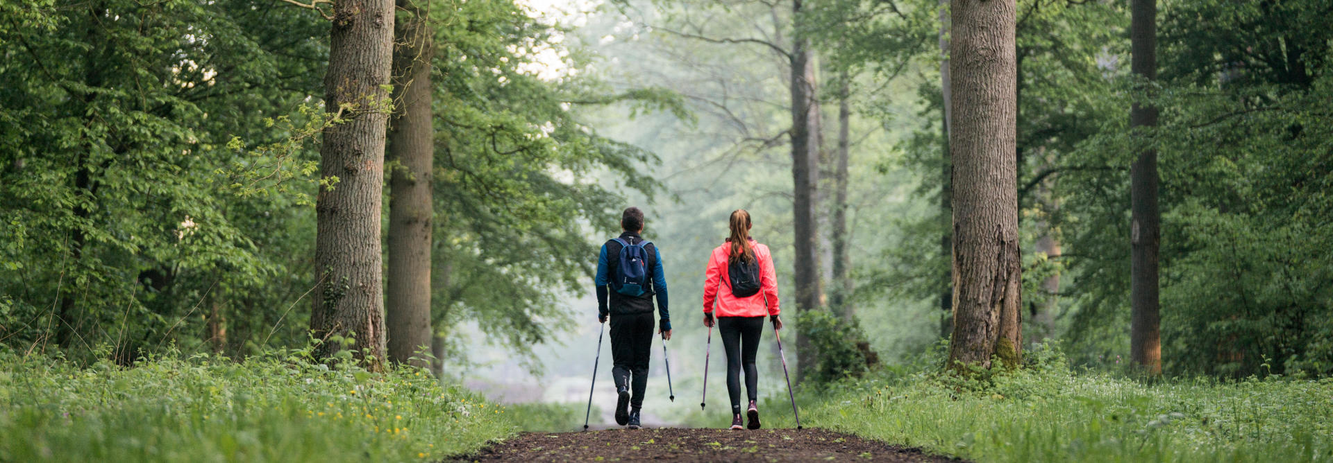 Sylvothérapie-marche-nordique-bienfaits