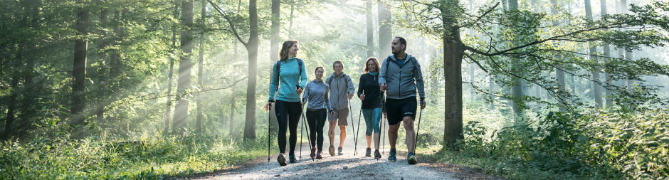 arbre-nature-marche-nordiquets