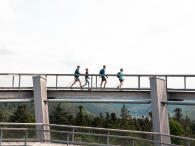 Marcher-plus-régulièrement-plus-d'-excuses Marcher-plus-régulièrement-plus-d'-excuses