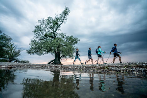 marche-calorie-froid-batons-marche